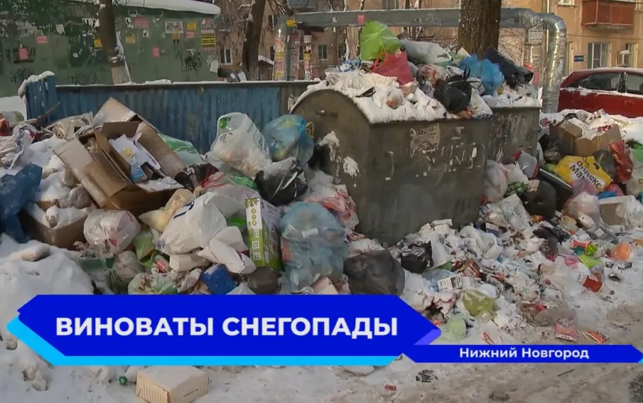 На улице Бекетова сотрудники ГЖИ провели рейд по заваленным мусором контейнерным площадкам